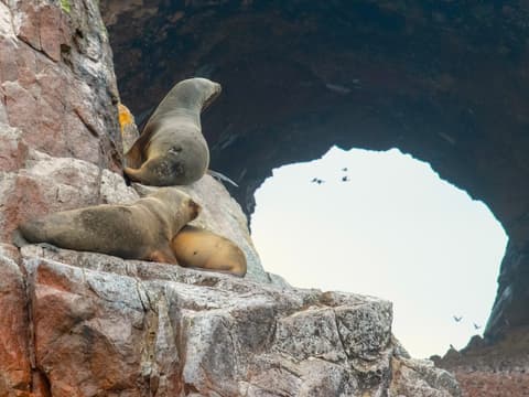 Perú, Imperio de los Sentidos