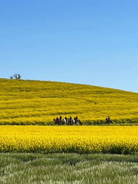 Pilgrimage Route to Santiago: the sea route