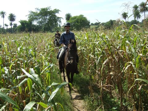 SAFARI A CAVALLO IN RAJASTHAN