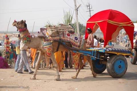 SAFARI A CAVALLO IN RAJASTHAN