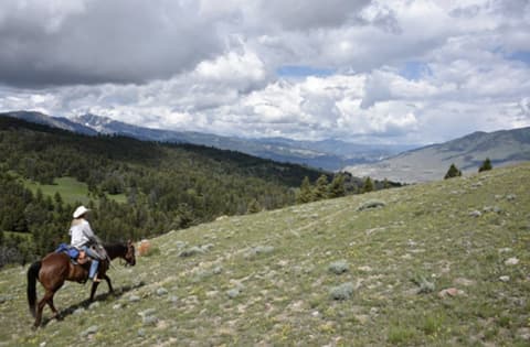 Yellowstone Ranch Escape