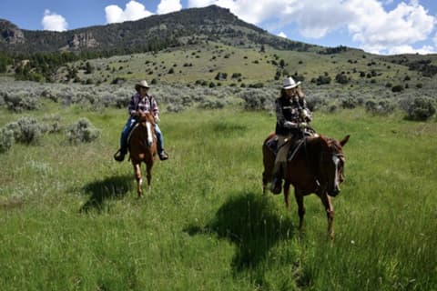 Yellowstone Ranch Escape