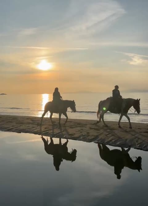 TOSCANA: CALA VIOLINA, RISERVA NATURALE
