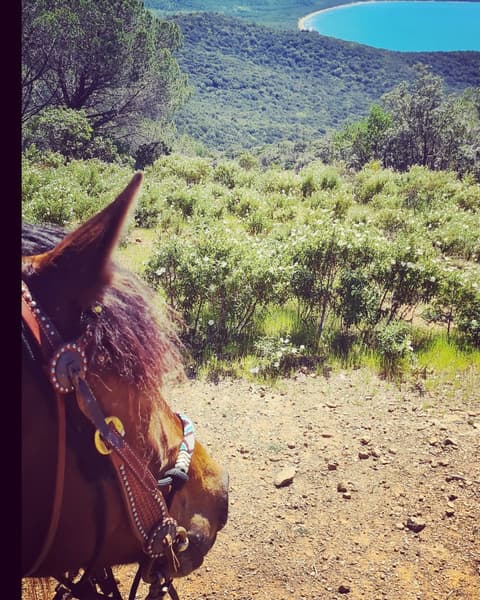 TOSCANA: CALA VIOLINA, RISERVA NATURALE