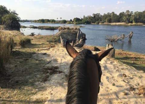 ZAMBESI RIDING SAFARI