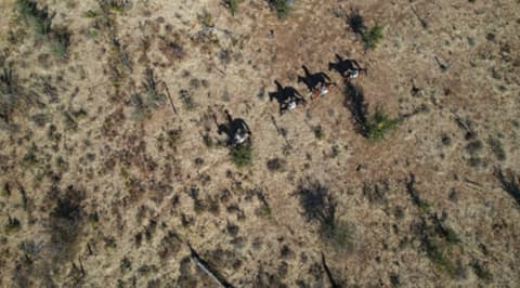 ZAMBESI RIDING SAFARI