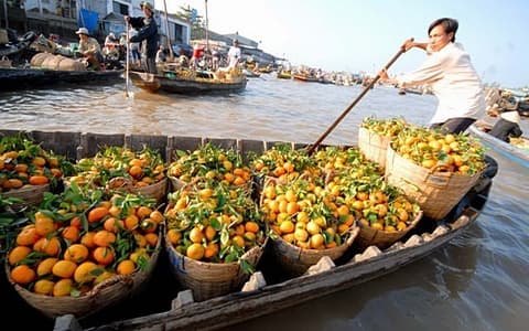 Vietnam Clásico - De Norte a Sur 6 Días - Salida el Martes