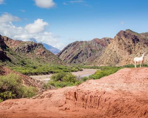 Salta, colors that leave a mark