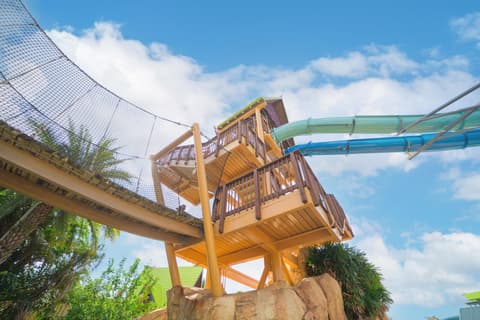 Orlando Clásico con alojamiento en villas