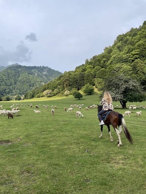 BAKU IN THE HEART OF CAUCASUS