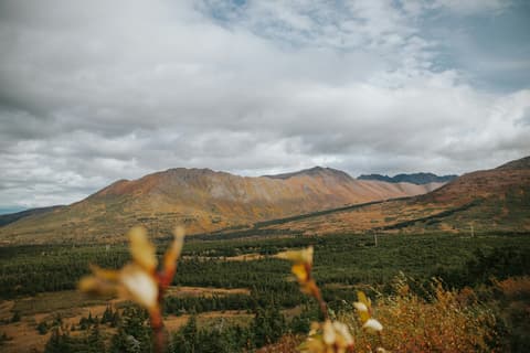 Estate in Alaska - Post Crociera