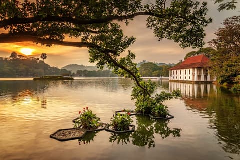 Nature’s Peaks to Paradise Shores - 04 Nights 05 Days Sri Lanka Tour Package