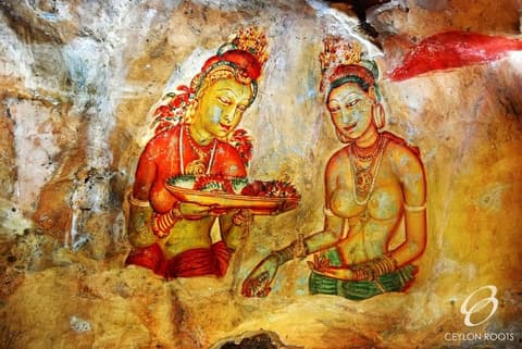 Discover Sri Lanka