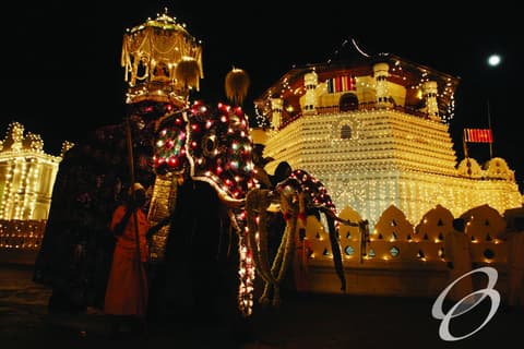 SRI LANKA CULTURE TOUR