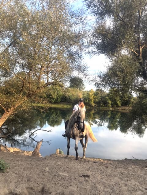 TRA NATURA E LEGGENDA: AVVENTURA A CAVALLO IN MONTENEGRO