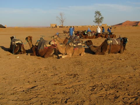 A Través de Marruecos – foto 4