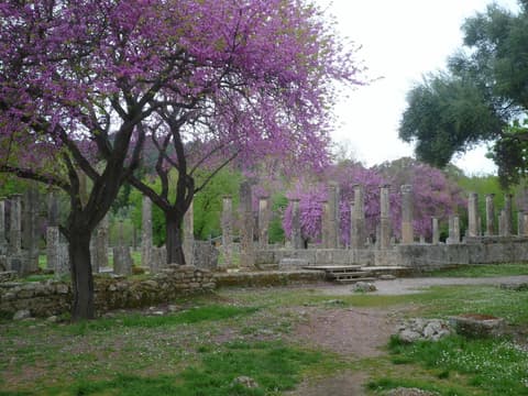 Grecia & Egipto