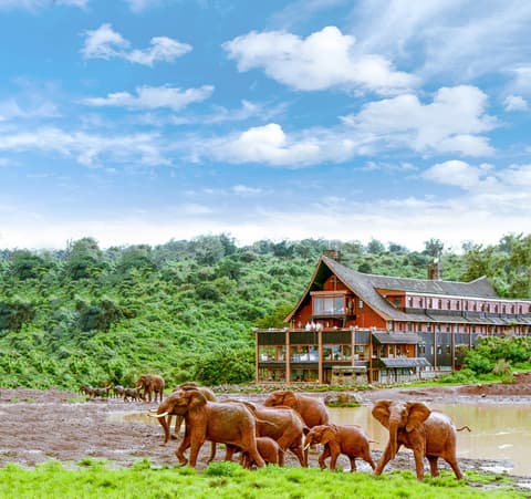 Safari Rasmi