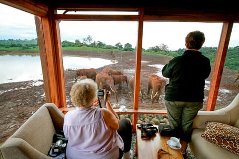 Safari Rasmi