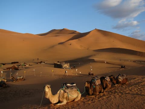 Sea of Dunes