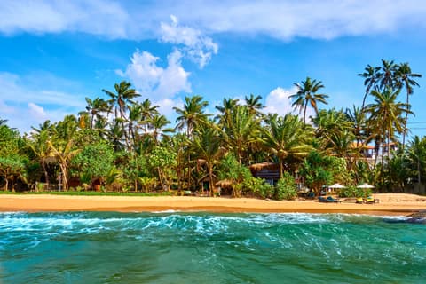 Coastal Wonders of Sri Lanka
