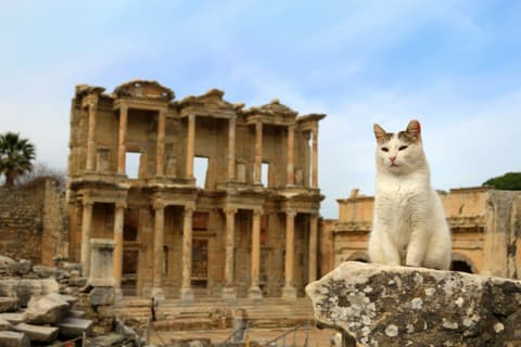 Turquia en Breve - 6 Días - Tour en grupo con Estándar Hotel