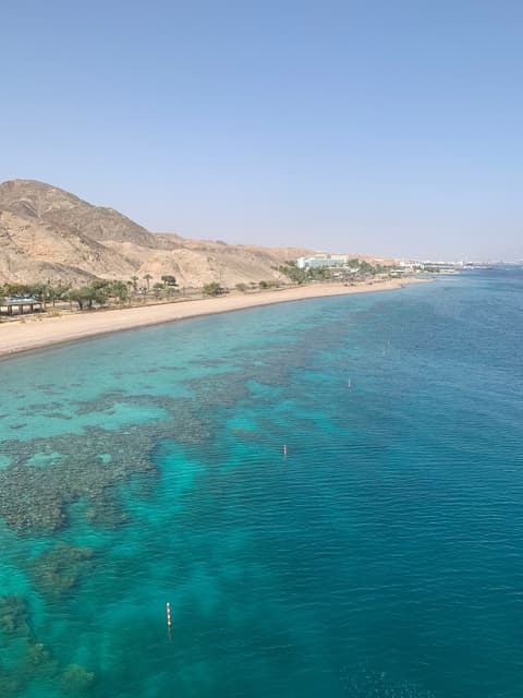 Horus con Sharm