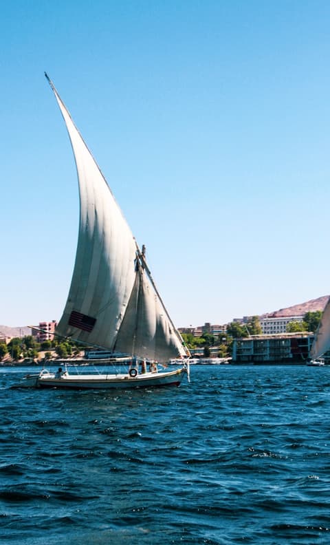 Horus con Sharm