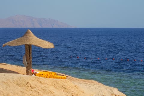 Horus con Hurghada