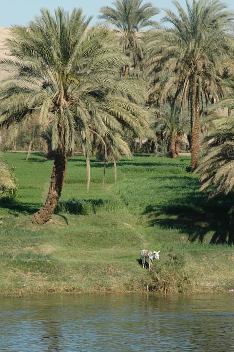Bahariya White Desert