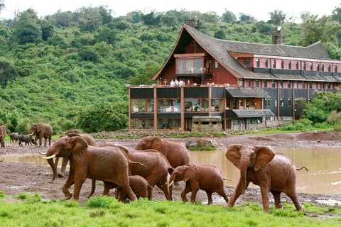 Safari Ziwa Ndogo