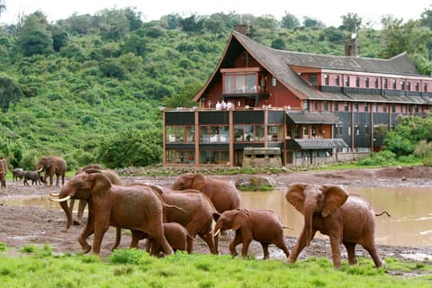 Safari Ziwa Classic