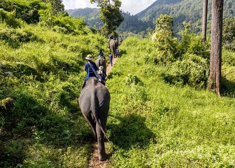 Tour nel Nord della Thailandia, 4 Giorni - Partenza ogni Mercoledì