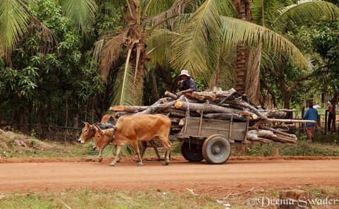Siem Reap, Battambang and Phnom Penh 7 Days - Departure on Monday