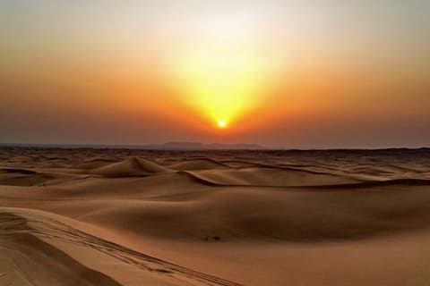 Magnificent of United Arab Emirates