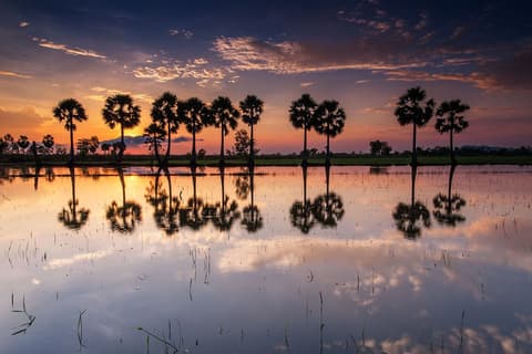 Vietnam Clásico - De Norte a Sur & Termina en Phnom Penh - Salida el Lunes