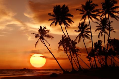 Highlights Of Sri Lanka Tour