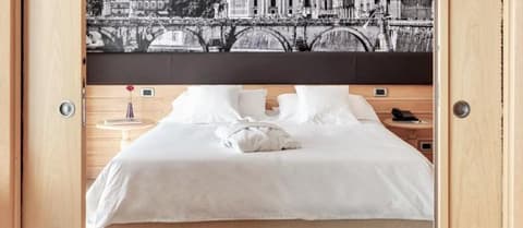 Hotel Occidental Aran Park