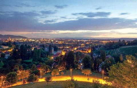 Mercure Hotel Panorama Freiburg, HOTEL