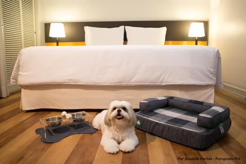 Pergamon Hotel Frei Caneca