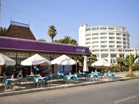 Enjoy Viña del Mar