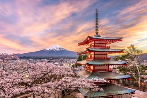 Banzai Japón con Seúl
