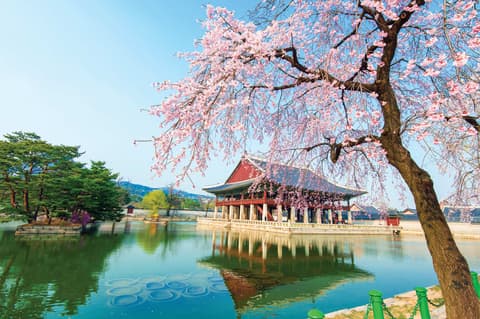 Lo Mejor de Corea 2027