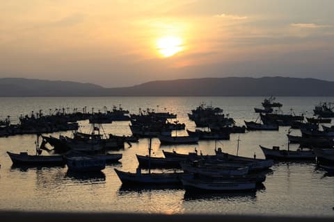 Bamboo Lodge Paracas