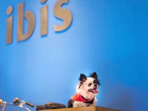 ibis Düsseldorf Hauptbahnhof