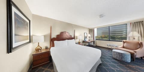 Austin Southpark Hotel, Room