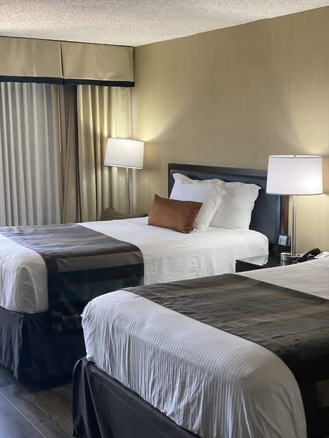 Wingate by Wyndham Springfield, Room