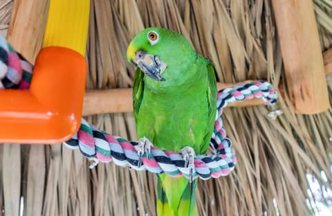 Best Western Plus Beach Resort