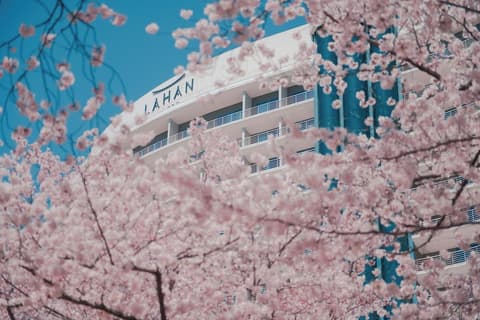 Lahan Select Gyeongju, Exterior