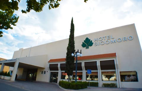 Hotel Sicomoro
